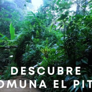 Bosque tropical Rio Blanco